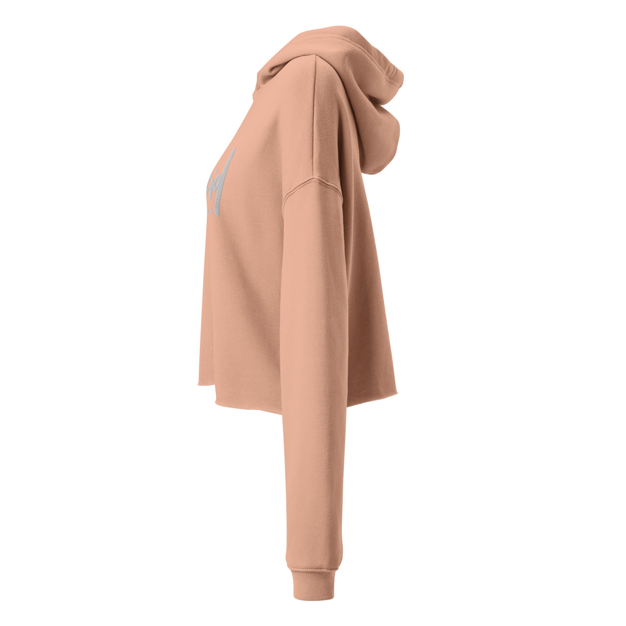 Lucid Dreamers Signature Crop Hoodie
