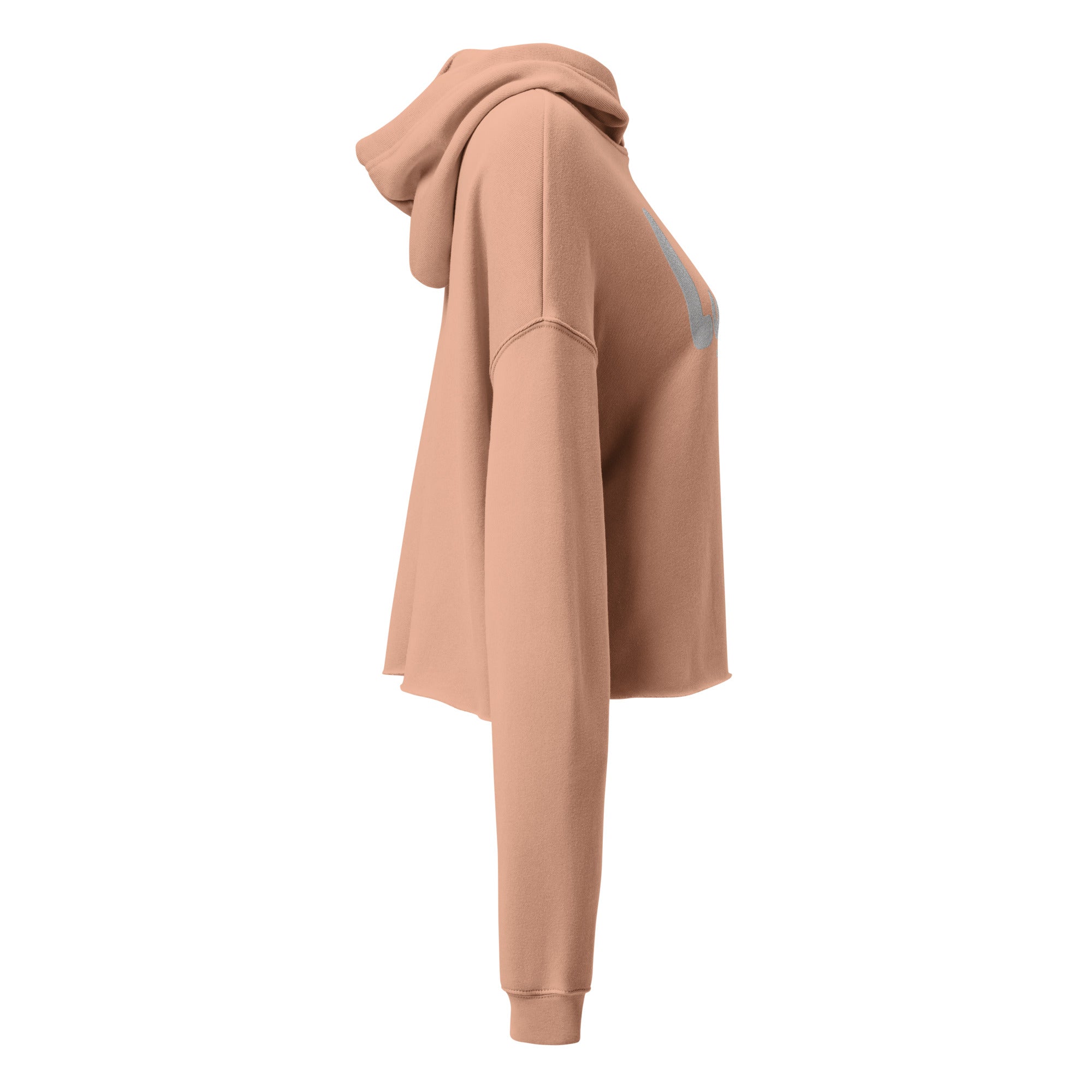 Lucid Dreamers Signature Crop Hoodie